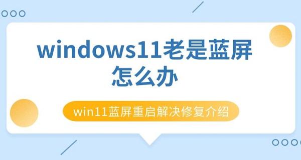 windows11老是藍屏怎么辦 win11藍屏重啟解決修復介紹