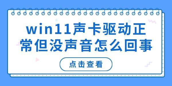 win11聲卡驅(qū)動(dòng)正常但沒聲音怎么回事