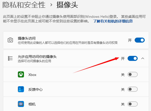 允許應用訪問攝像頭