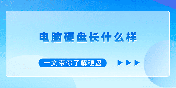 電腦硬盤長什么樣？一文帶你了解硬盤