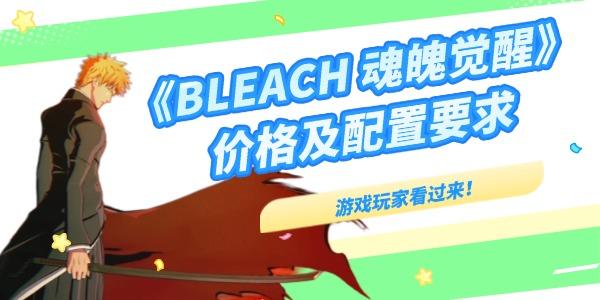 死神魂魄覺醒多少錢