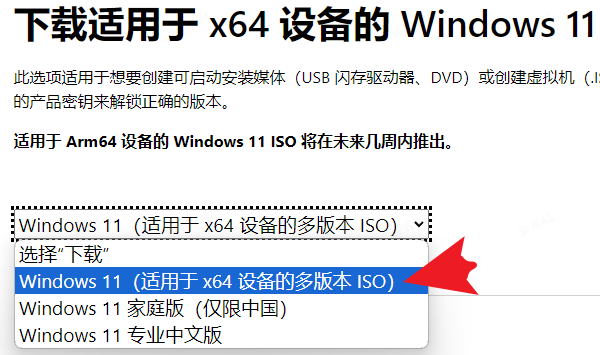 下載Windows 11版本