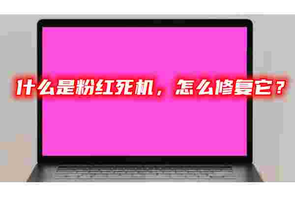 什么是粉紅死機(jī)，怎么修復(fù)它？