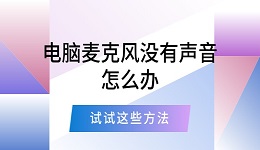 電腦麥克風(fēng)沒有聲音怎么辦 試試這些方法