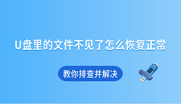 U盤里的文件不見了怎么恢復(fù)正常 教你排查并解決