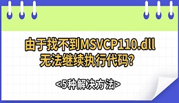 由于找不到MSVCP110.dll無法繼續(xù)執(zhí)行代碼？5種解決方法