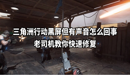 三角洲行動黑屏但有聲音怎么回事 老司機教你快速修復