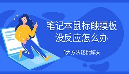 筆記本鼠標(biāo)觸摸板沒(méi)反應(yīng)怎么辦 5大方法輕松解決